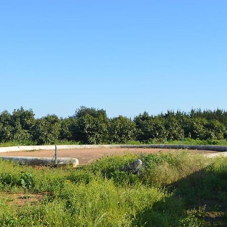 Quinta Das Figueiras Vila Nova de Cacela Exterior foto